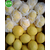 南非进口柠檬尤力克Unifrutti新鲜黄柠檬现货批发*缩略图2
