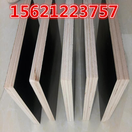 木质模板建筑用木模板浇铸成型效果好反复使用不开胶星冠木业
