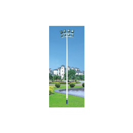 新余市球场灯柱,辉跃体育设施有限公司(在线咨询),球场灯柱