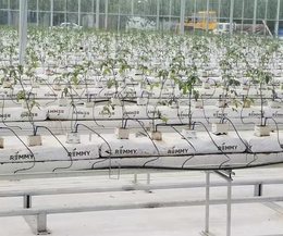 基质栽培槽公司-基质栽培槽-北京泓稷科技公司