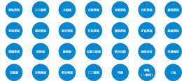 *制双轨见点分红奖金制度