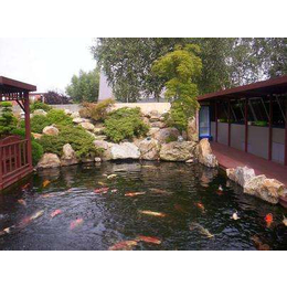 鱼池、尚层景观设计、庭院鱼池