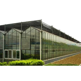 玻璃温室大棚、齐鑫温室园艺、玻璃温室大棚建造成本