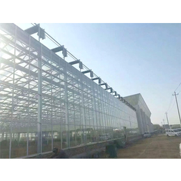 自动化温室-青州瀚洋农业-自动化温室大棚种植