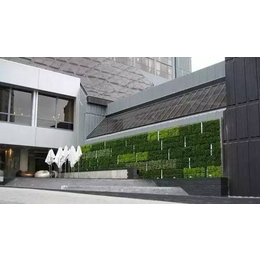 公司形象墙绿植-昆山绿-博智环保