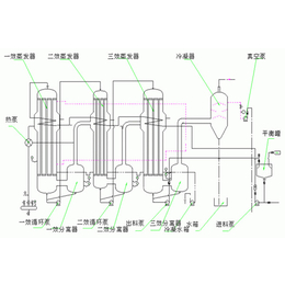 三效蒸发器 价格-无锡宝德金工程(在线咨询)-海南三效蒸发器