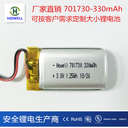 东莞鸿伟能源701730聚合物锂电池330mAh振动棒锂电池