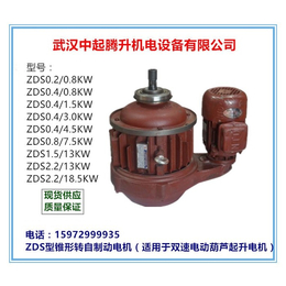 华容ZDS3.0/18.5KW锥形电机|南京起重电机总厂
