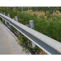 通程护栏板网(图),哪里卖高速公路护栏网,漯河高速公路护栏