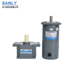 排杆电机生产厂家|SANLY永力电机|清远排杆电机