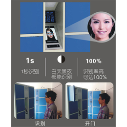 老新镇手机管理柜,强固,人脸端识别手机管理柜