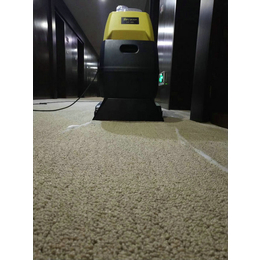 力牌清洁用品(图)-多功能地毯机-衡水地毯机
