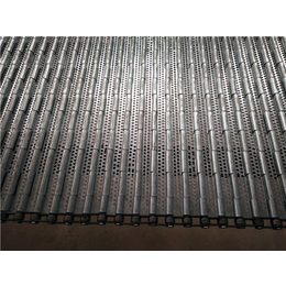 不锈钢冲孔链板传送带|天惠网带|上海不锈钢冲孔链板缩略图
