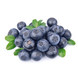 奥尼尔蓝莓苗-柏源农业-奥尼尔蓝莓苗基地