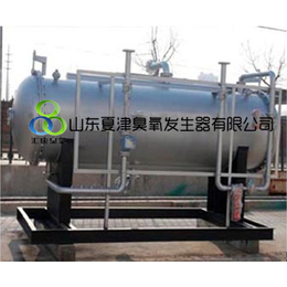 西安-铜川-宝鸡污水处理臭氧发生器厂家