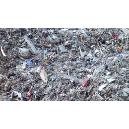 垃圾塑料清洗设备加工-葫芦岛垃圾塑料清洗设备-山东金双联