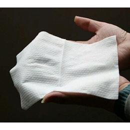 一片装湿纸巾|南宁赛雅纸业(在线咨询)|湿纸巾