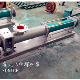 武汉高压进料泵-螺耐斯环保设备