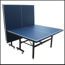 乒乓球桌-湘奥体育广销全国各地-乒乓球桌价格
