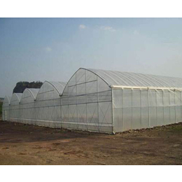 温室大棚工程|合肥小农人温室大棚|合肥温室大棚