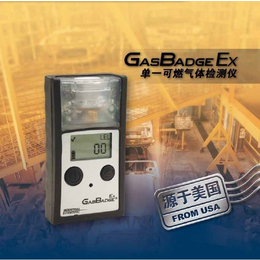 进口GB90单一可燃气体检测仪