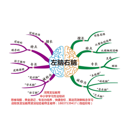 郑州市思维导图快速记忆中小学学习方法辅导缩略图