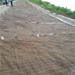自贡河道防护*冲刷加筋防冲毯生态毯生物毯