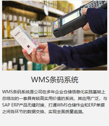 枣庄WMS实施服务商中科华智 WMS智能防错仓储系统