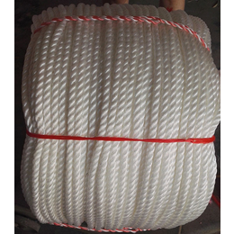 圆丝绳加工厂|圆丝绳|凯利绳网(查看)