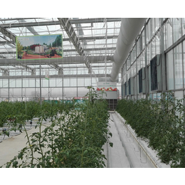 智能温室大棚建造,安徽农友(在线咨询),合肥智能温室