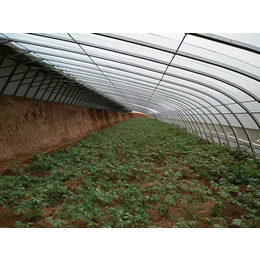 西安蔬菜温室大棚多少钱一平方、【诺博温室工程】、蔬菜温室大棚