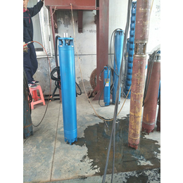 天津高扬程潜水泵-大功率潜水泵潜成泵业质量优