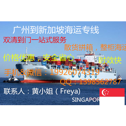 广州到新加坡海运散货拼箱双清到门一站式服务