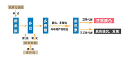 好用的国产**-**-艾倾儿*(查看)