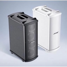 供应Bose PanarayMB4模块化低音扬声器黑白两色