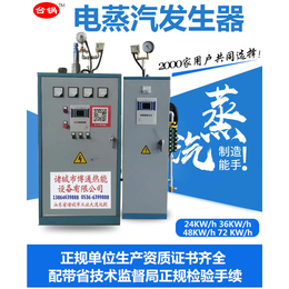 电热蒸汽发生器*-台锅锅炉-*电热蒸汽发生器