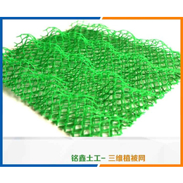 植被网*-植被网-山东铭鑫工程材料(查看)