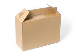 纸盒包装-家一家包装-东莞纸盒