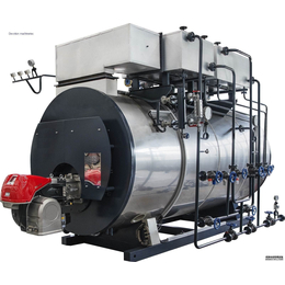 大型环保锅炉分类 全自动卧式蒸汽锅炉 锅炉终身质保 厂家*