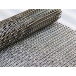 广州金属网带-挡边链条金属网带-304不锈钢网带厂家