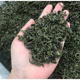 深加工原料绿茶供应商-峰峰茶业(在线咨询)-深加工原料绿茶