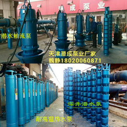 700QZB-125-95KW潜水轴流泵排涝灌溉选择天津潜成