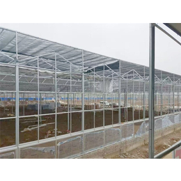 青州瀚洋农业-玻璃温室-文洛式玻璃温室