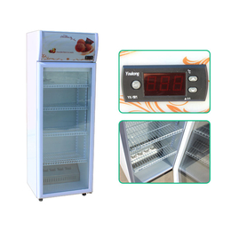 盛世凯迪制冷设备生产-阜阳加热保温柜-加热保温柜厂家