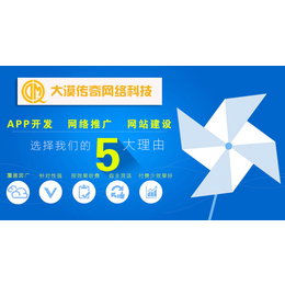 app开发_app开发公司_大漠传奇(推荐商家)