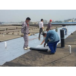 蓝盾防水(图)-屋面防水用什么材料-南京防水