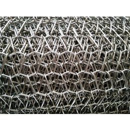 不锈钢网带加工卢圣禄、海南不锈钢网带、天惠网带