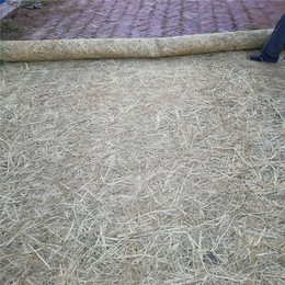 *盐城堤坝护坡绿化 植被毯 环保草毯 椰丝毯 植物纤维毯