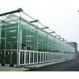 小型玻璃温室通风、枣庄小型玻璃温室、安阳盛丰温室工程