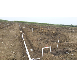 多用pe灌溉管生产线-丹寨pe灌溉管-格莱欧滴灌供应